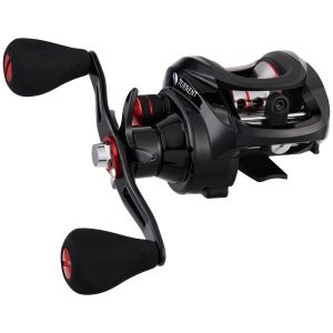 Best Budget Baitcasting Reel torrent