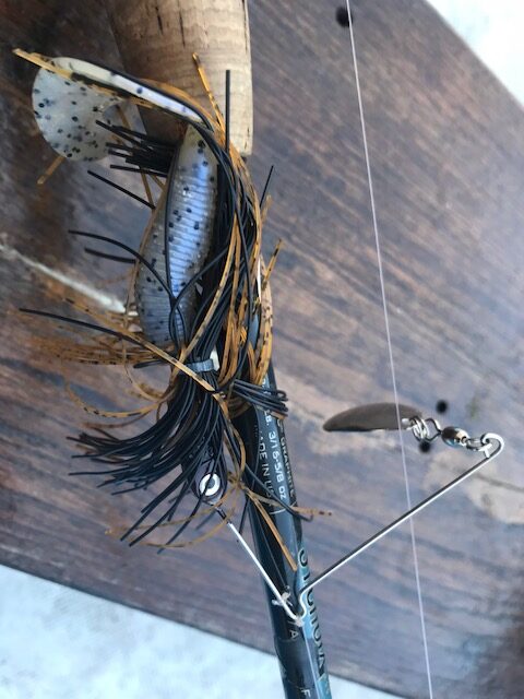 best bass lure for beginners