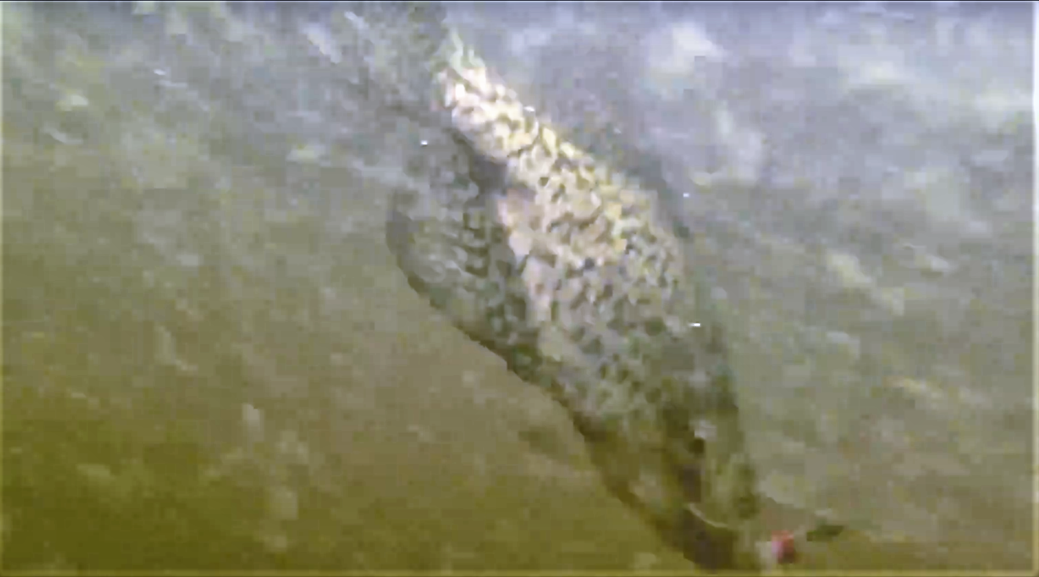 Best Crappie Fishing Setup